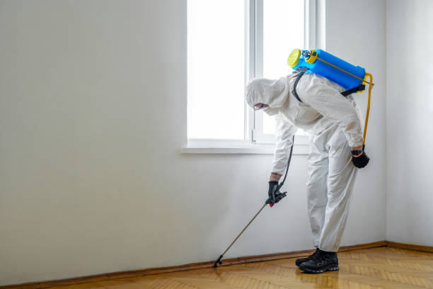 Emergency Pest Control Services in Attica, MI